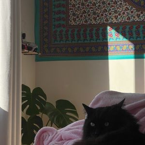 Meet your Posher, Ajla